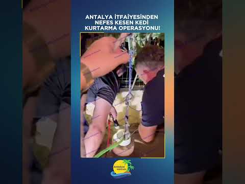 Antalya itfaiyesinden nefes kesen kedi kurtarma operasyonu!