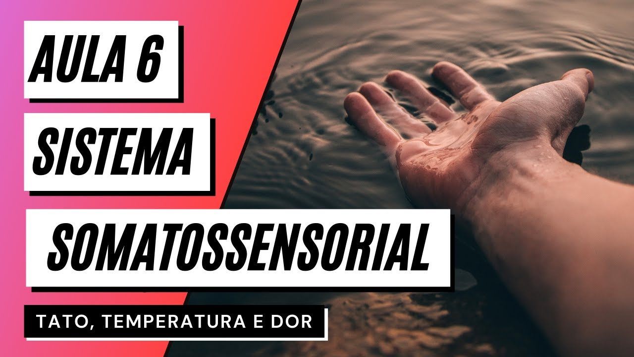 Videoaula 6 Sistema somatossensorial - TATO, TEMPERATURA E DOR (SENTIDOS SOMÁTICOS)