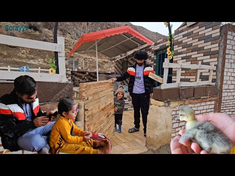 The children's cries for not coming to Tayyaba's farm.