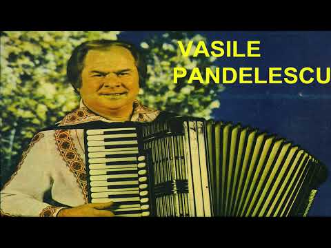 VASILE PANDELESCU - SARBA LUI PANDELESCU