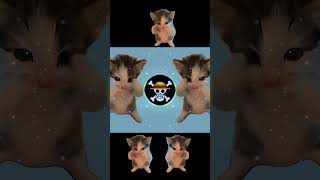 Download lagu DJ KICAU KICAU MANIA REMIX ANGKATLAH TOPI MINAT MONGGO JAPRI VIRAL TIKTOK 2026 mp3
