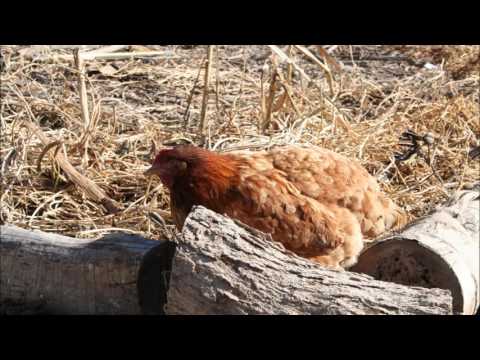 Winter in Sanderson 2016