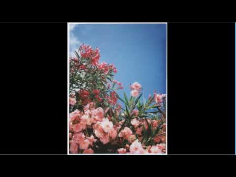 [free for profit] *ukulele* Joji x XXXTentacion Lofi Type Beat - "text me"