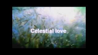 Celestial love - F.C. Perini