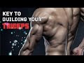 How to Build Your Triceps FAST: TRY THESE TIPS