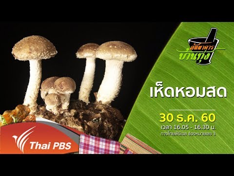 วิลโลว์ประโยชน์ชาแรง การเพิ่มผลสมาชิกนวด