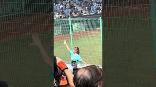 【TeamTaiwan】#張士綸應援 #衣宸 #包子 #禹菡 #冬季聯盟@斗六棒球場 20241130 #台湾チア #cheerdance #cheerleader #cpbl #awb