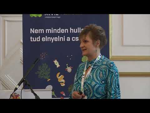Videó előnézet