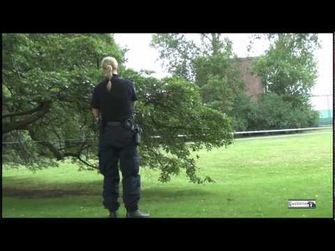 Skottlossning i Uddeholmsparken, Malmö