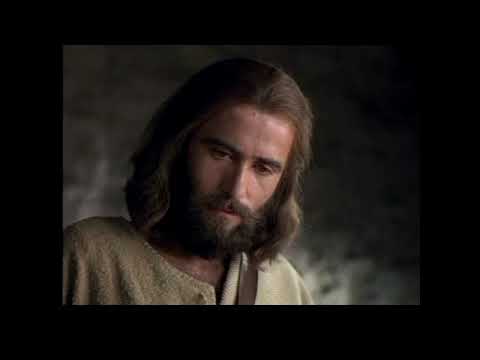 248 Enzikiza yali ebunye ku nsi