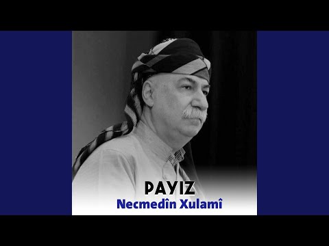 Le Gul Nasiktre Leşî To