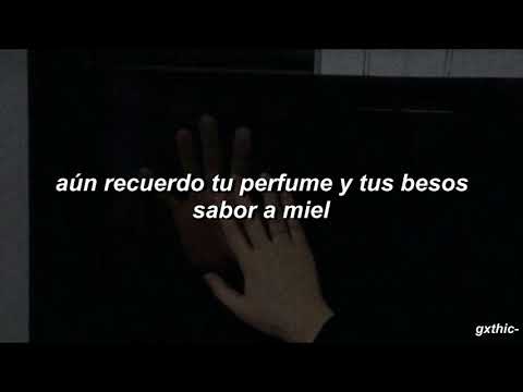 jauria santa // cada noche // letra