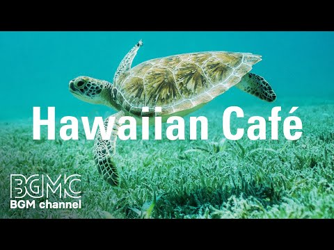 Hawaiian Cafe: Caribbean, Tropical Island Music - Music for Happy Holiday in a Beach