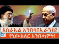 እስራኤል አንበሳ ኢራንስ የኒውክለር አንበጣዎች ETHIO FORUM