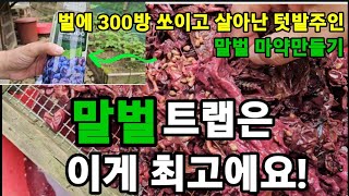 집주변 말벌! 이거 설치하면!여기와서 자폭합니다 말벌의 최후! #말벌트랩 #말벌잡는방법 #말벌이좋아하는먹이 …