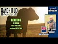 How ABS NuEra Genetics Brings Greater Beef Value
