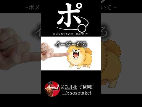 ポ。-ポメラニアンの倒し方について-#おもしろ #アニメ #ネタ #おすすめ @sosotakei