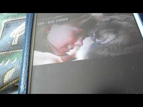 7 Katzen Signale was sie bedeuten!Von Minoko