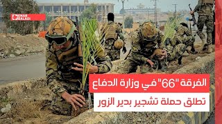الفرقة "66" في وزارة الدفاع تطلق حملة تشجير بدير الزور