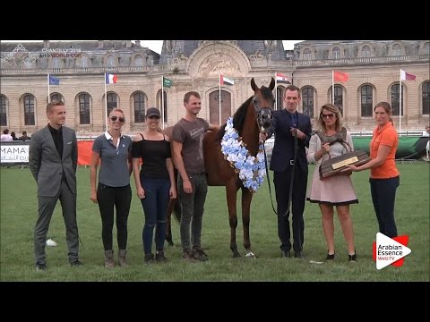 GOLD - N.28 JAYDA AL RABI - Chantilly 2016 World Cup - Fillies Championship (Class 12)