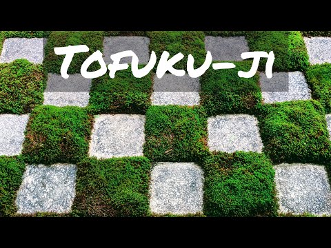 Tofuku-ji: Bridges, Maples, Circles and Squares!