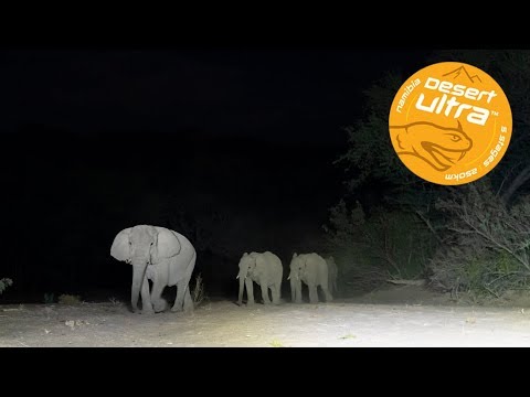 Beyond the Ultimate Desert Ultra - Elephant Camp