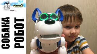 Silverlit Робот-щенок Pupbo (88520/88520P) - відео 8