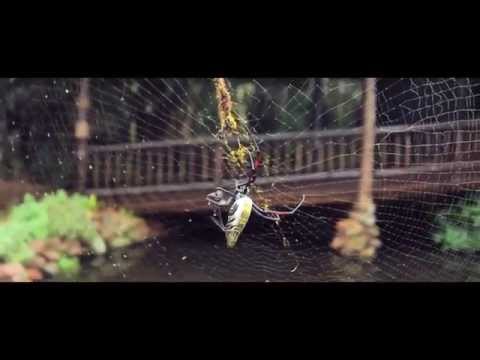 BLUNT / ENVY - South Africa Tour Ep.4