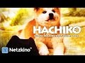 Hachiko Wahre Freundschaft Währt Ewig Hundefilme Deutsch In Voller Länge In Voller Länge
