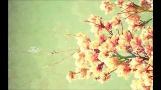 The Thrill Is gone - carmen mcrae