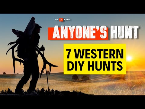 OTC and Easy to Draw Hunts