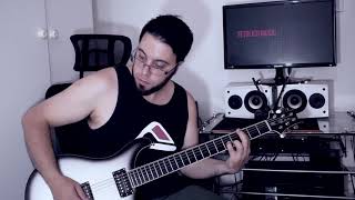 Dry Cell "Velvet Elvis" (Guitar Cover) ( prs baritone mike mushok guitar)