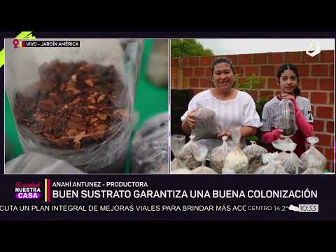 #TuCiudadNuestraCasa: Familia de Jardín América produce hongos tras proyecto escolar