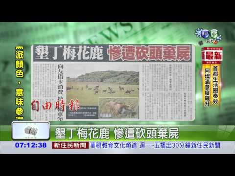 墾丁梅花鹿 慘遭砍頭棄屍