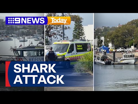 Boy fights for life after being attacked by shark in Sydney Harbour | 9 News Australia