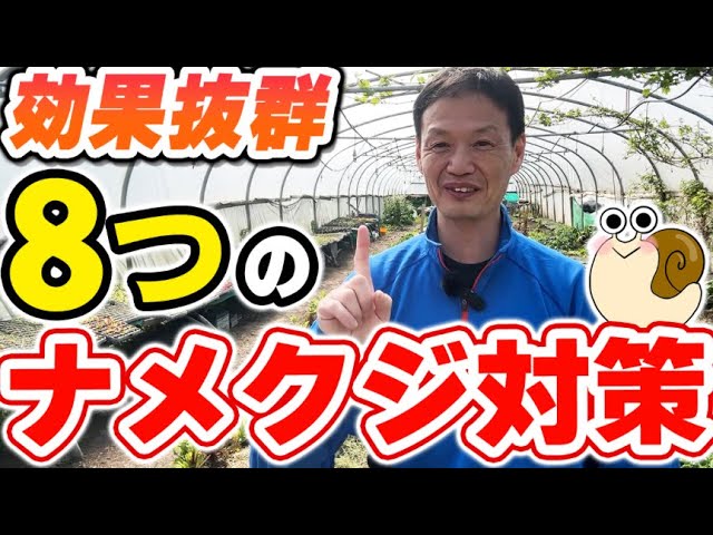 自然栽培におけるナメクジ対策と圃場の生態系づくり