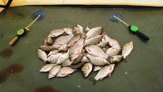 Зимняя рыбалка ночная на карася