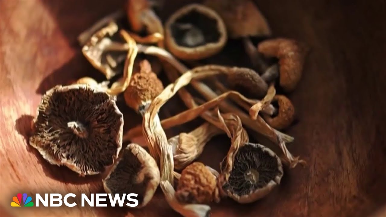 FDA grants quick review for 3 psychedelic drug trials