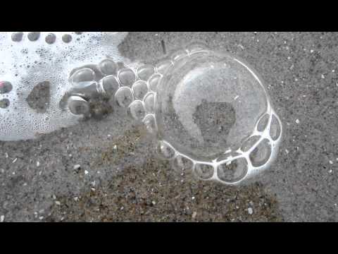 sand crab bubbles
