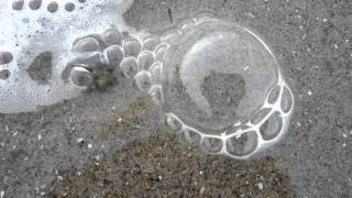 sand crab bubbles