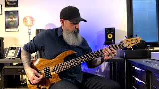 Video thumbnail for Rosetta Stoned bass cover | Tool | Wal MK 3 by Jeff Beverly