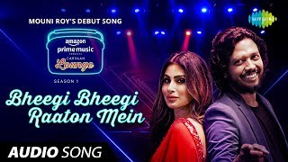 Bheegi Bheegi Raaton Mein - Audio Song  Carvaan Lo