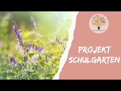 Aus Schulfläche wird Naturgarten | Gartenexpedition #naturgarten