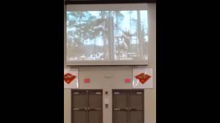 Parris Island Family Day Semper Fi