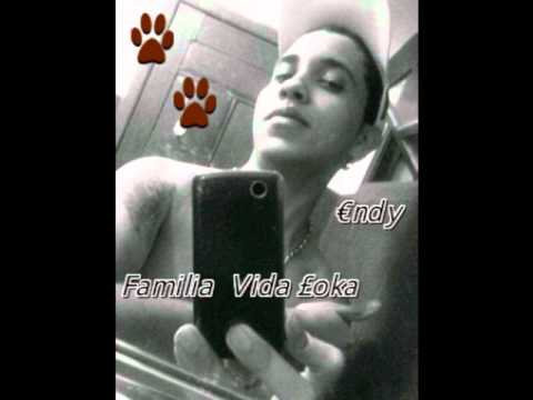 melo de quaxini 2011