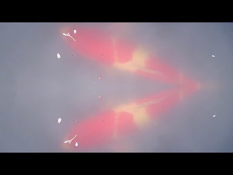 Sebastien Schuller - As We Sleep In A Japanese Garden