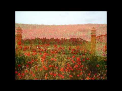 PACO BANDEIRA - "Assim Me Criei"