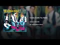 Grupo Bryndis - Como Duele Tu Adiós (Audio)