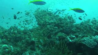 preview picture of video 'Scuba Diving with a Gopro HERO3+ - Strab 2014'
