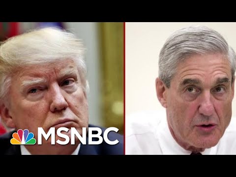 ‘A Stunning Thing For A Prosecutor To Say’ | Deadline | MSNBC Video